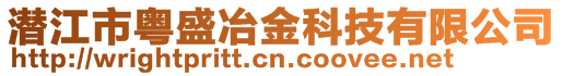 潜江市粤盛冶金科技有限公司