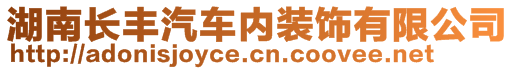 湖南長豐汽車內裝飾有限公司
