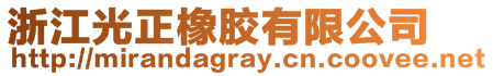 浙江光正橡膠有限公司