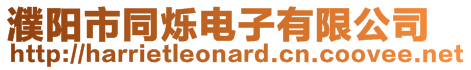 濮陽市同爍電子有限公司