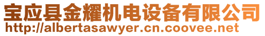 寶應縣金耀機電設備有限公司