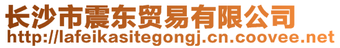 長(zhǎng)沙市震東貿(mào)易有限公司