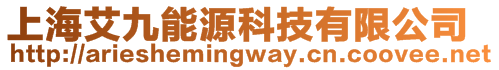 上海艾九能源科技有限公司