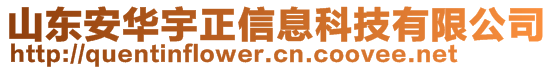 山東安華宇正信息科技有限公司