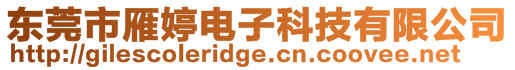 東莞市雁婷電子科技有限公司