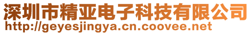 深圳市精亚电子科技有限公司