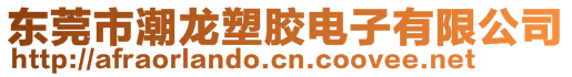 東莞市潮龍塑膠電子有限公司