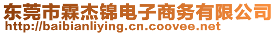 東莞市霖杰錦電子商務(wù)有限公司