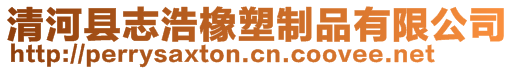 清河县志浩橡塑制品有限公司