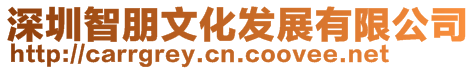 深圳智朋文化發(fā)展有限公司