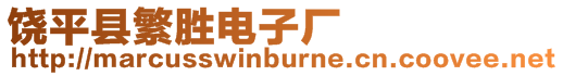 饒平縣繁勝電子廠