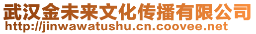 武漢金未來文化傳播有限公司