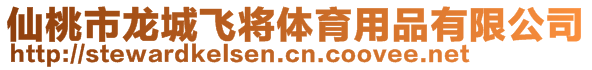 仙桃市龍城飛將體育用品有限公司