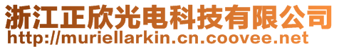 浙江正欣光電科技有限公司