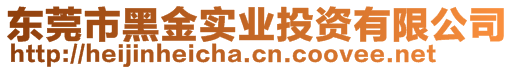 東莞市黑金實業(yè)投資有限公司