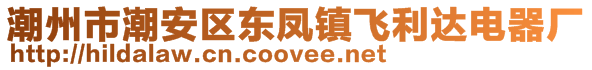 潮州市潮安區(qū)東鳳鎮(zhèn)飛利達(dá)電器廠