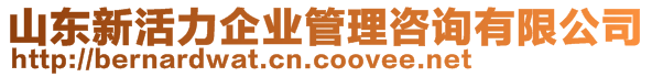 山東新活力企業(yè)管理咨詢有限公司