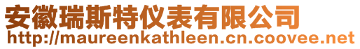安徽瑞斯特儀表有限公司