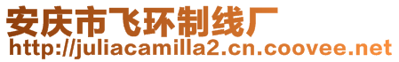 安慶市飛環(huán)制線廠