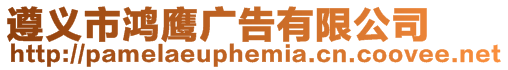 遵義市鴻鷹廣告有限公司