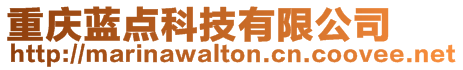 重慶藍(lán)點(diǎn)科技有限公司
