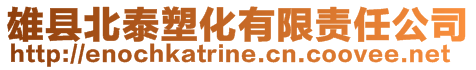 雄縣北泰塑化有限責任公司