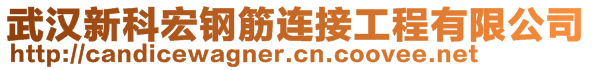 武漢新科宏鋼筋連接工程有限公司