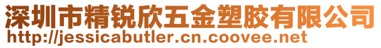 深圳市精銳欣五金塑膠有限公司