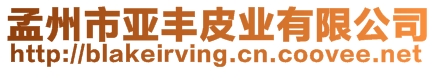 孟州市亞豐皮業有限公司