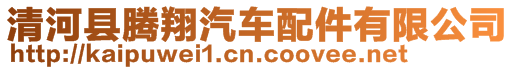 清河縣騰翔汽車配件有限公司