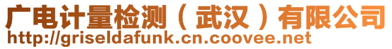 廣電計(jì)量檢測(武漢)有限公司