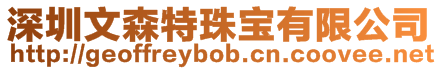 深圳文森特珠寶有限公司