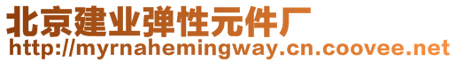 北京建業(yè)彈性元件廠