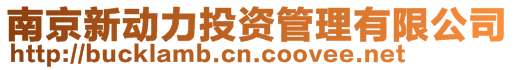 南京新動力投資管理有限公司
