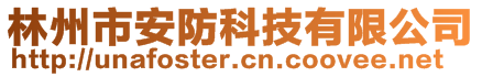 林州市安防科技有限公司