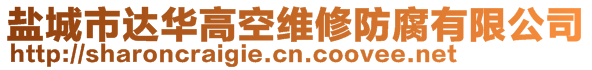 盐城市达华高空维修防腐有限公司