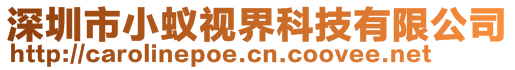 深圳市小蟻視界科技有限公司