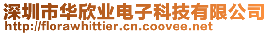 深圳市华欣业电子科技有限公司