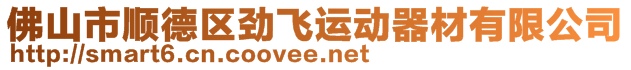 佛山市順德區勁飛運動器材有限公司
