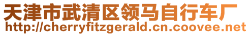 天津市武清區(qū)領馬自行車廠