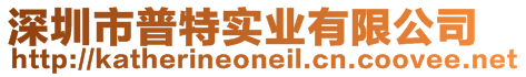 深圳市普特實(shí)業(yè)有限公司