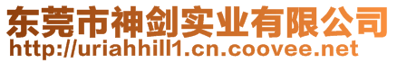 東莞市神劍實業(yè)有限公司