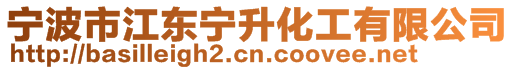 寧波市江東寧升化工有限公司