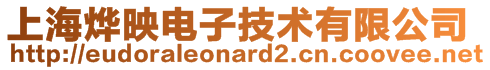 上海燁映電子技術有限公司
