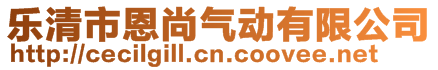 乐清市恩尚气动有限公司