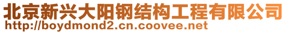 北京新興大陽鋼結(jié)構(gòu)工程有限公司