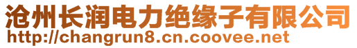 滄州長(zhǎng)潤(rùn)電力絕緣子有限公司