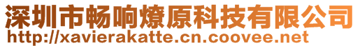 深圳市暢響燎原科技有限公司