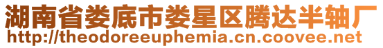湖南省婁底市婁星區騰達半軸廠