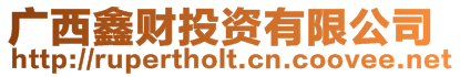 廣西鑫財(cái)投資有限公司